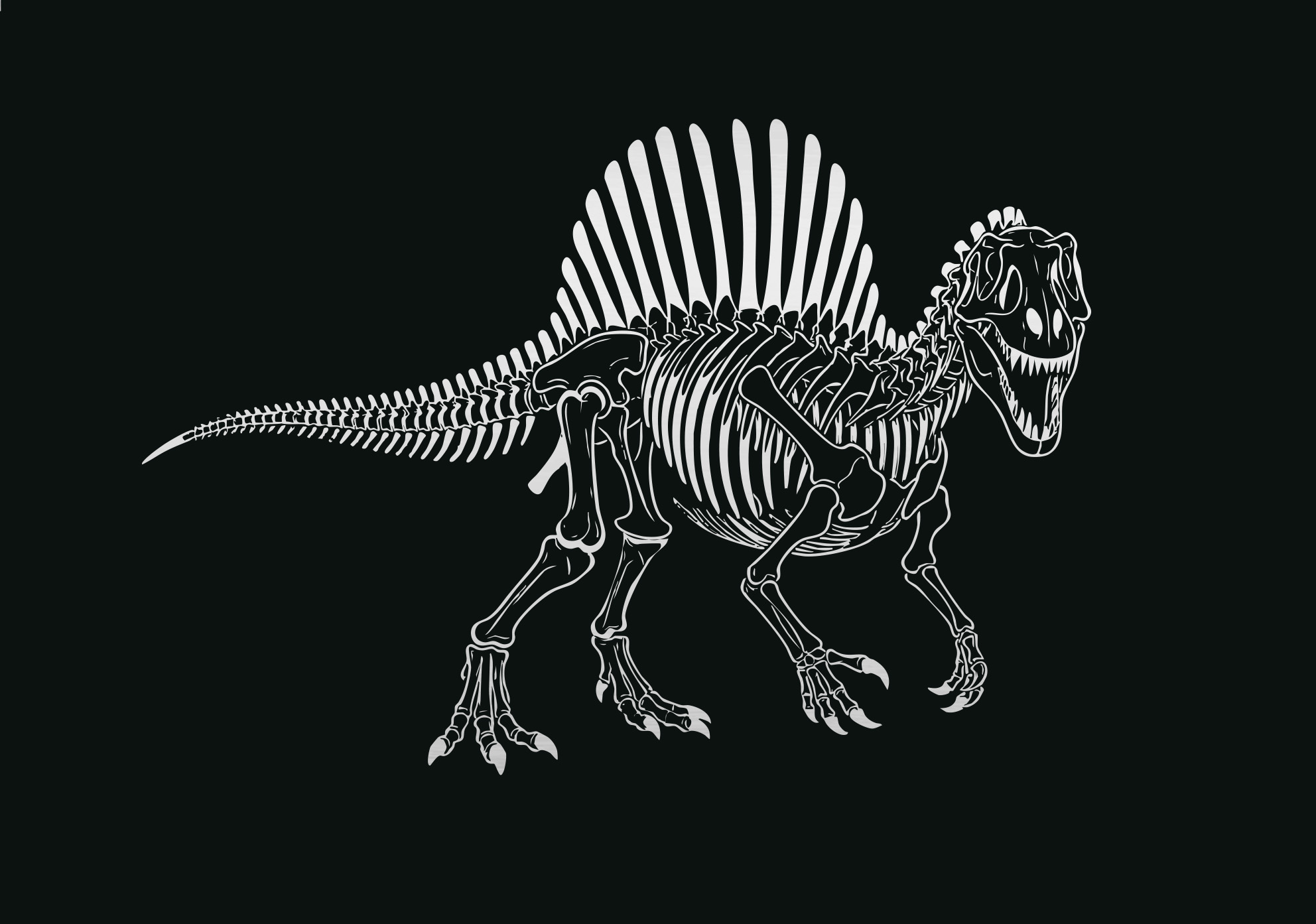Souvenir animali design